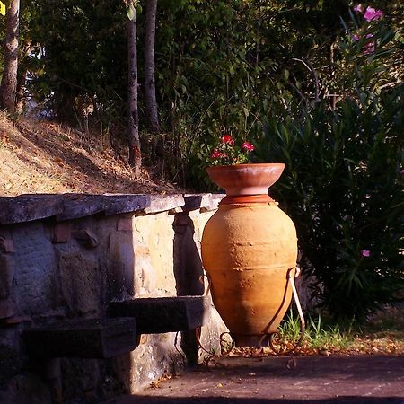 Tenuta Macetona Челле-Суль-Риго Экстерьер фото